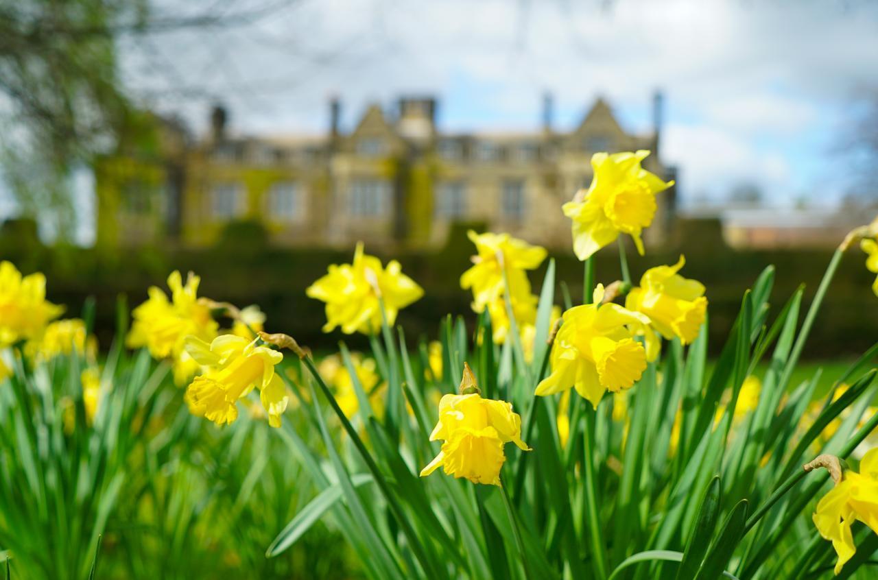 Gisborough Hall Hotel Guisborough Dış mekan fotoğraf